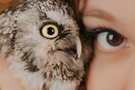 Casino Loco Win Suporte